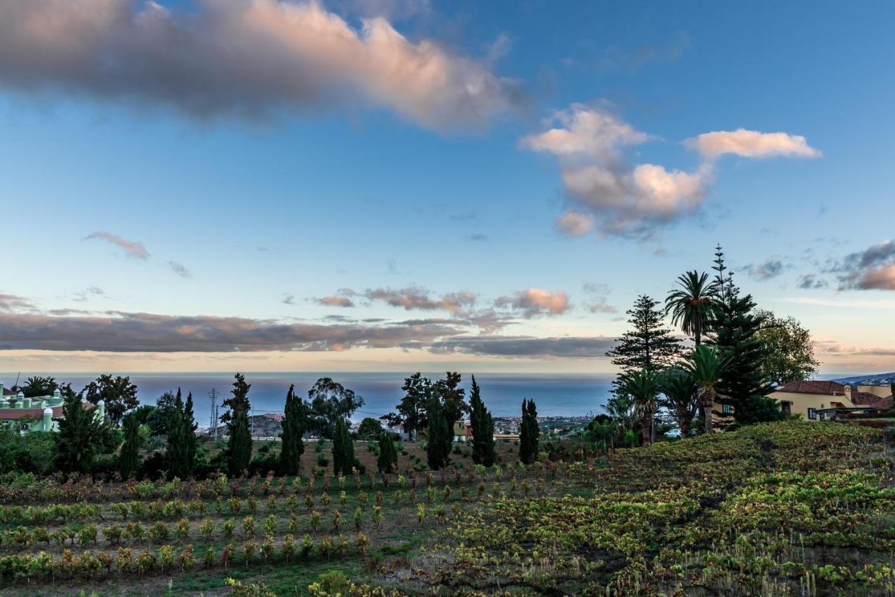 Casa Rural El Lagar Tenerife Villa La Orotava Kültér fotó